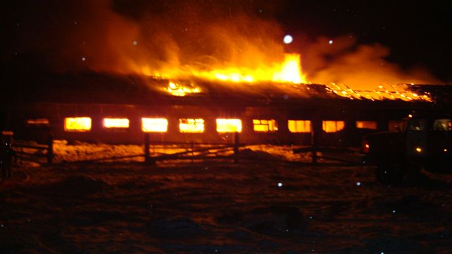 В Первомайском районе сгорел коровник
