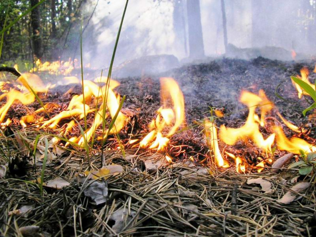 В Оренбуржье объявлен 5 класс пожарной опасности
