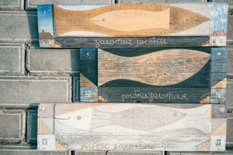 Оренбуржцев приглашают на выставку Екатерины Ескиной и Александры Ва-Ин