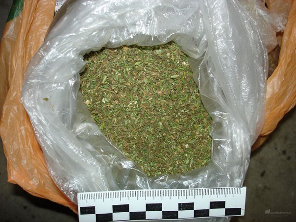 Полкило марихуаны изъяли абдулинские полицейские
