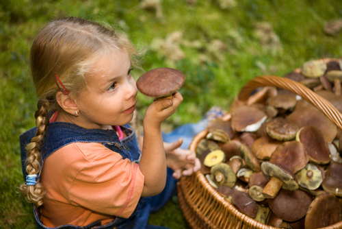 4-летняя девочка отравилась грибами, врачи не смогли ее спасти