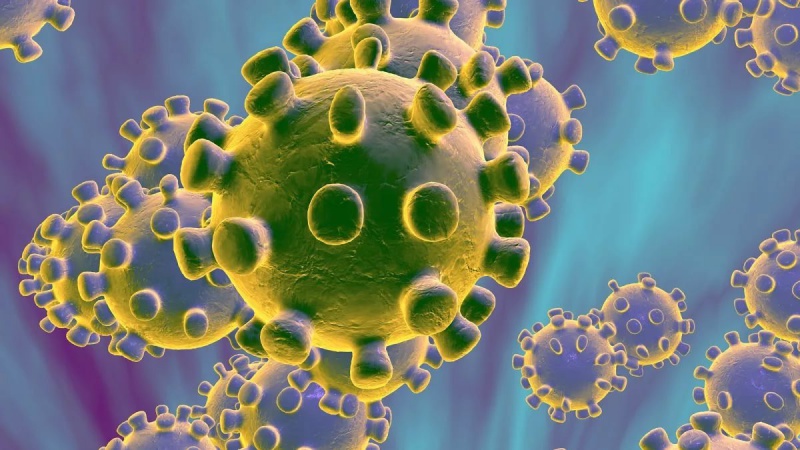 Российские ученые получили антитела, нейтрализующие коронавирус