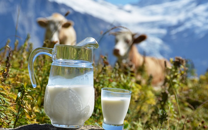 В Ташлинском районе пройдет «Фестиваль молока–2017»