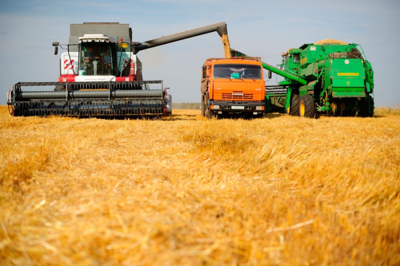 АПК: с полей убрали первый миллион тонн зерна