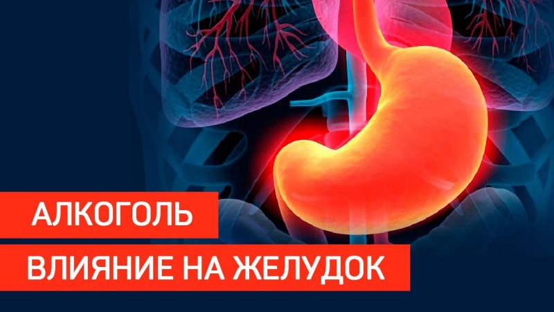 Влияние алкоголя на желудок