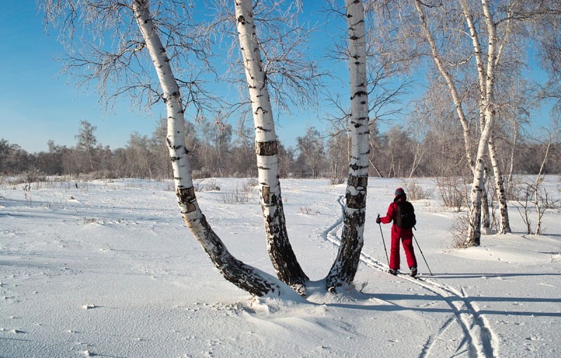 Входим в новый год с активным образом жизни