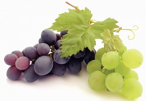 В Оренбурге будут производить фирменное вино из местных сортов винограда