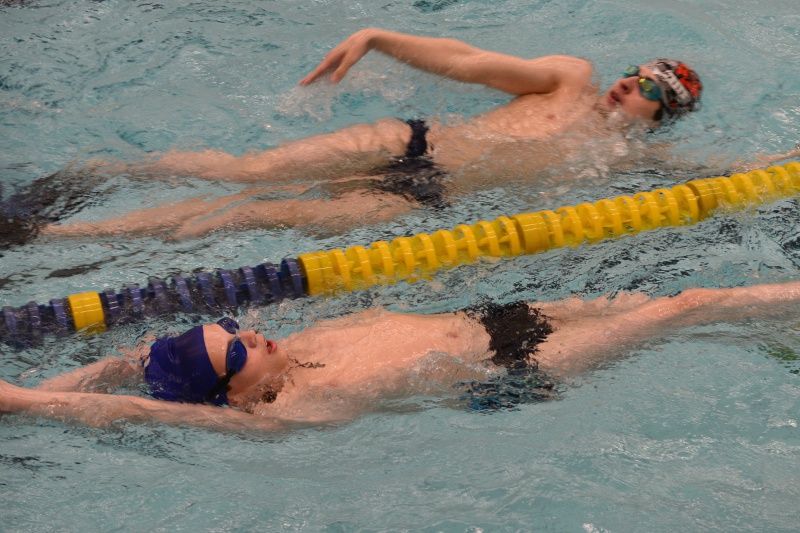 Плавание. Польза для организма