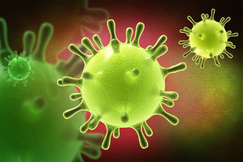 В Оренбуржье 62 человека находятся на домашнем карантине по коронавирусной инфекции