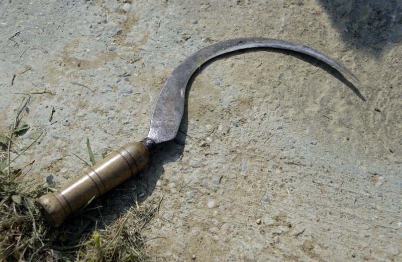Серпом по нервам: в селе Ждановка мужчина угрожал убить собутыльника