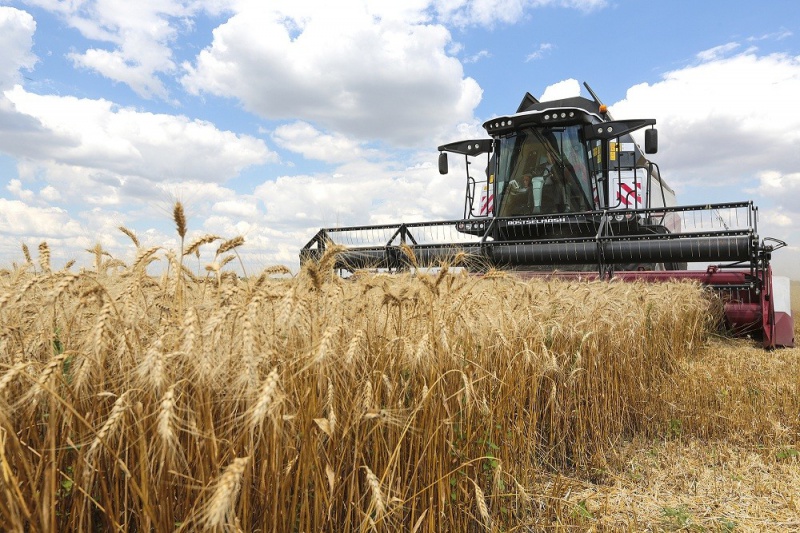 В Оренбуржье идет уборка зерновых и зернобобовых культур