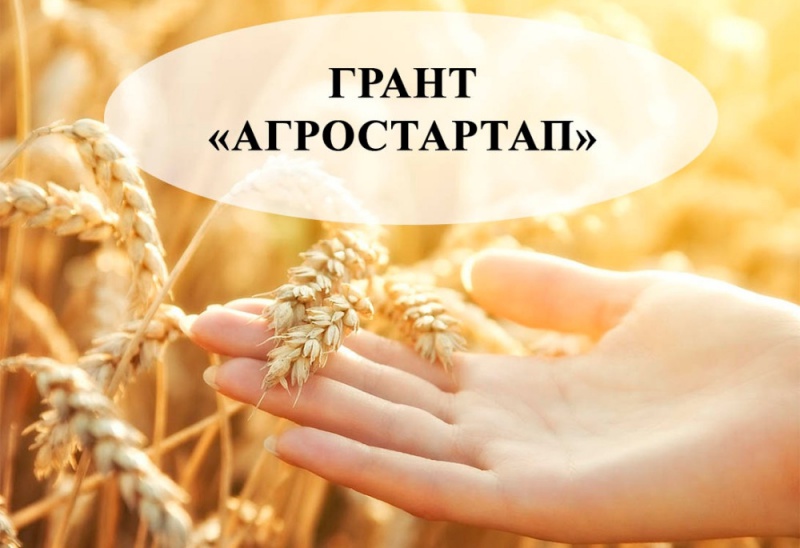 Объявлены победители грантового конкурса «Агростартап» в Оренбуржье