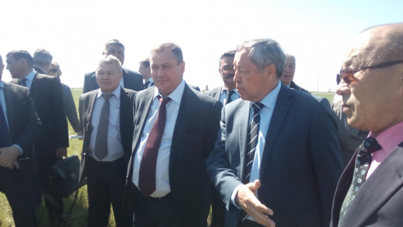 Оренбуржье и Актюбинская область будут бороться с саранчой сообща