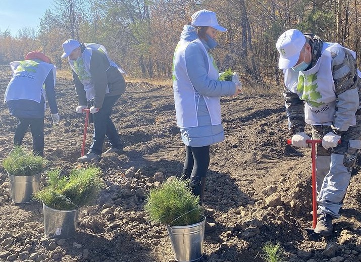 Оренбуржцы поддержали всероссийскую акцию «Сохраним лес»