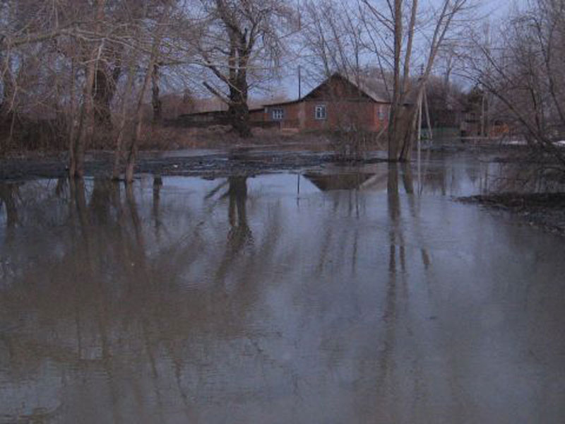 В оренбургском поселке затоплено 200 домов