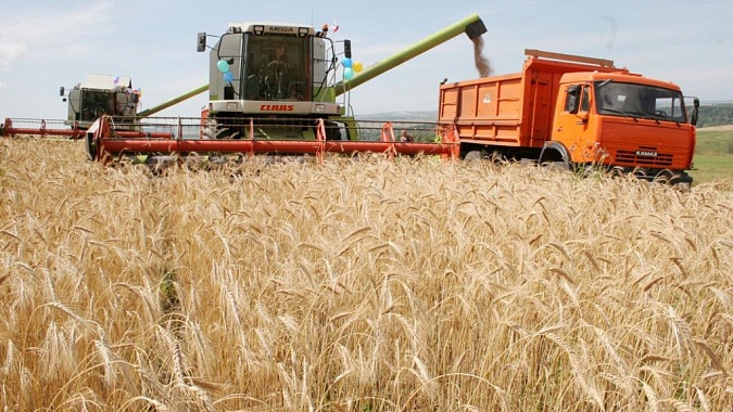 В Оренбуржье собрали более 3 млн тонн зерна